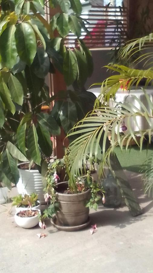 Hotel La Belle Vue Lima Zewnętrze zdjęcie